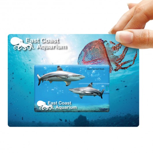 Credit Card USB Drive Lifestyle